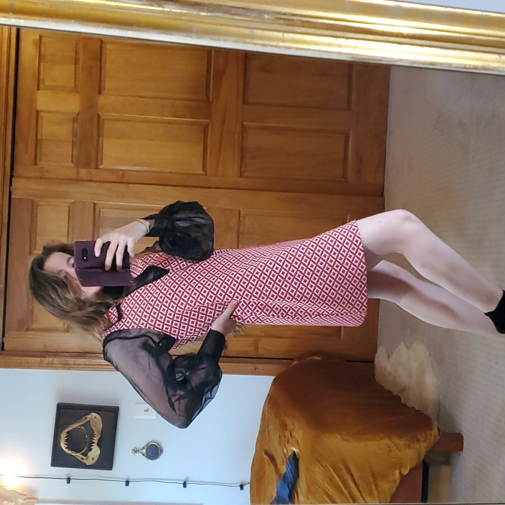 Collared mini mod dress - Picture 2 of 6